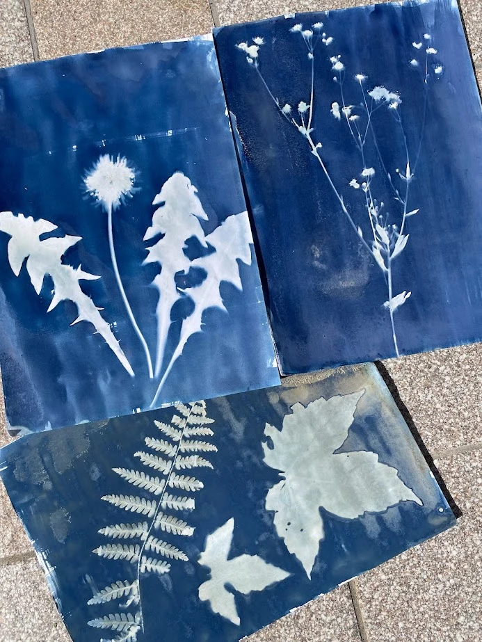 Impronte botaniche e sperimentazione con la luce