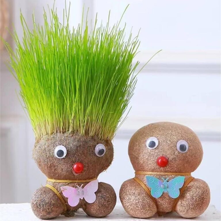 Creativa
