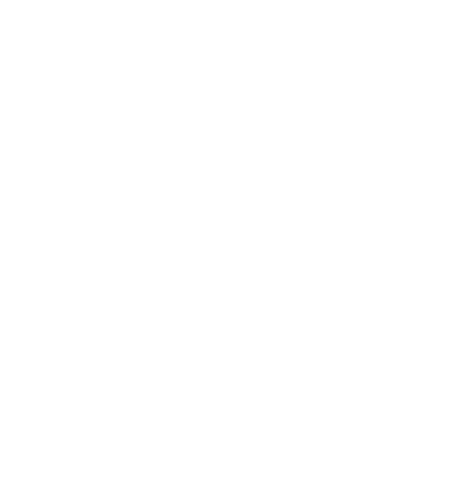 +39 339 381 9677